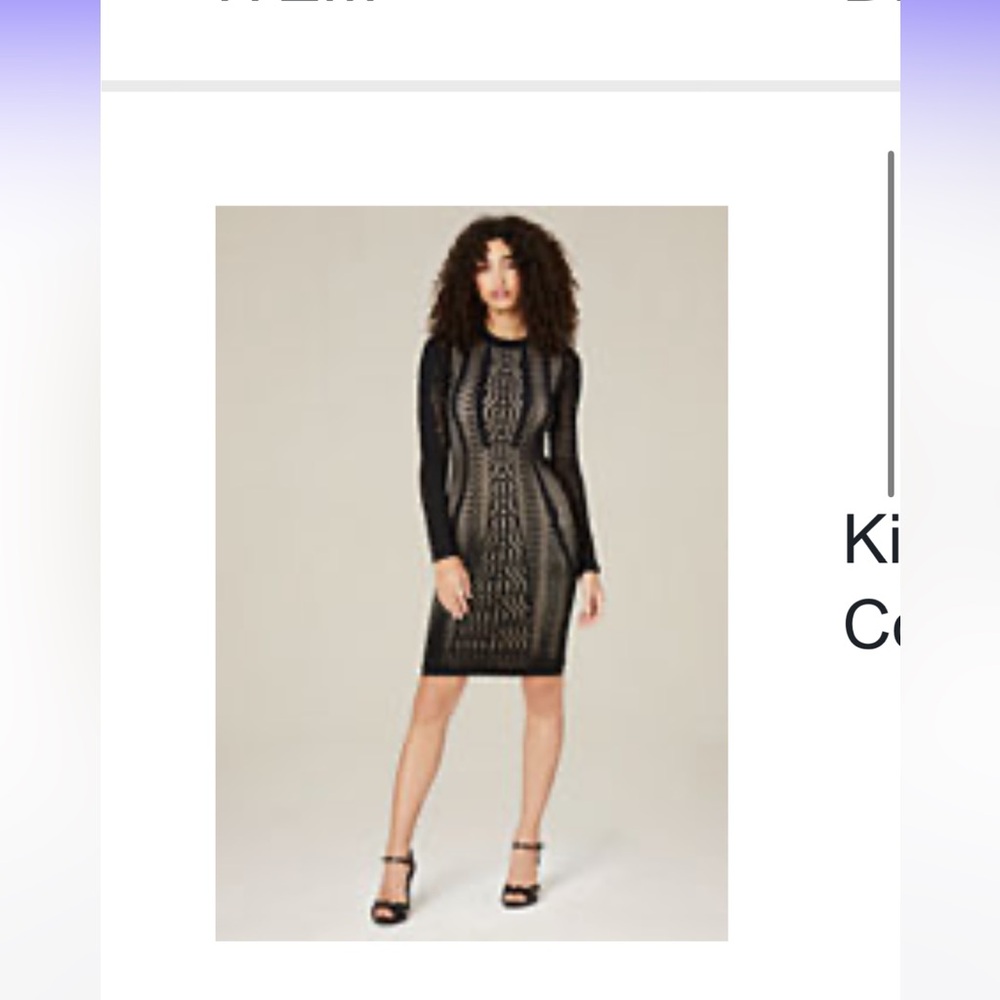 Bebe Kimmie Mesh Bodycon Dress